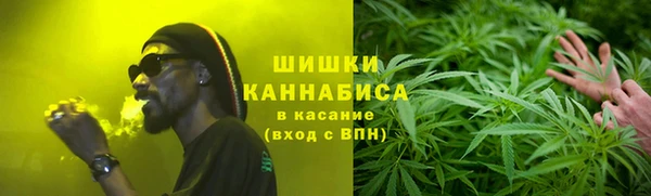крисы Аркадак