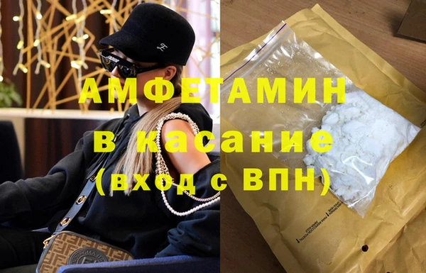 крисы Аркадак