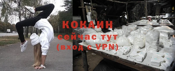 крисы Аркадак
